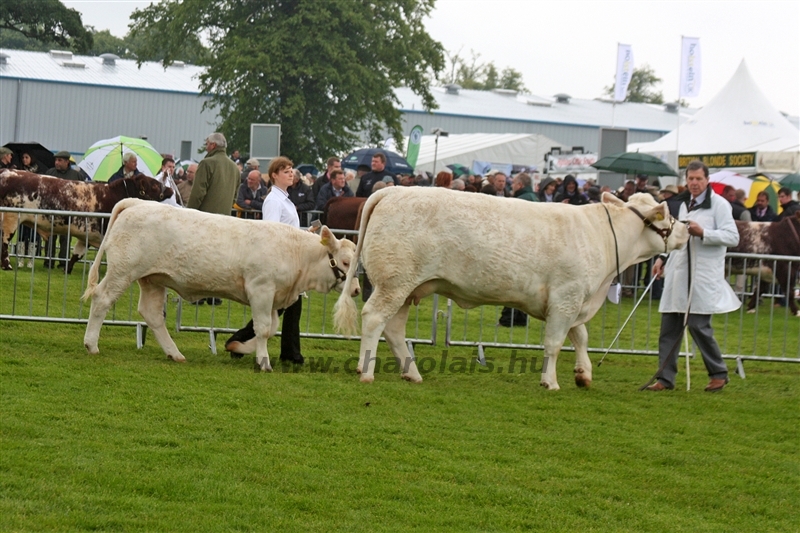 WCC Nagy-Britannia 2012 - Helge